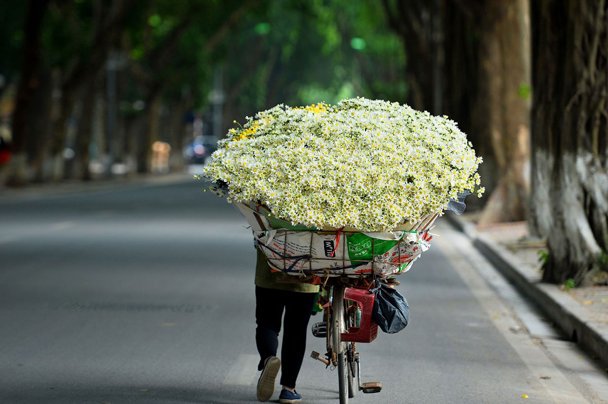 Cảm nhận mùa thu Hà Nội qua những chiếc xe đạp chở đầy hoa giữa lòng thành phố